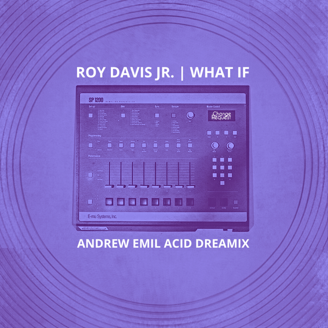 What If (Andrew Emil Acid Dreamix)