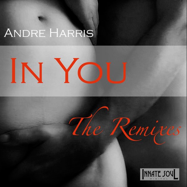 In You (the Remixes)